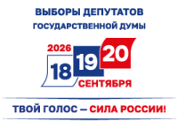 Выборы ГД 2026